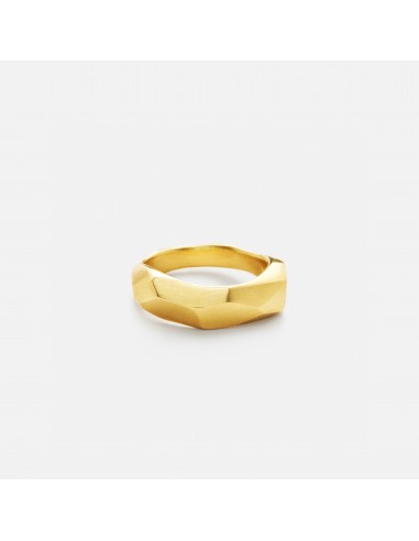 Charm Ring 19K Gold des créatures d'habitude