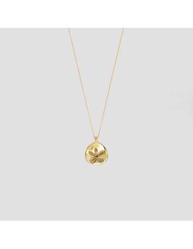 Baby Sand Dollar, on Chain, 19K Gold vente chaude votre 